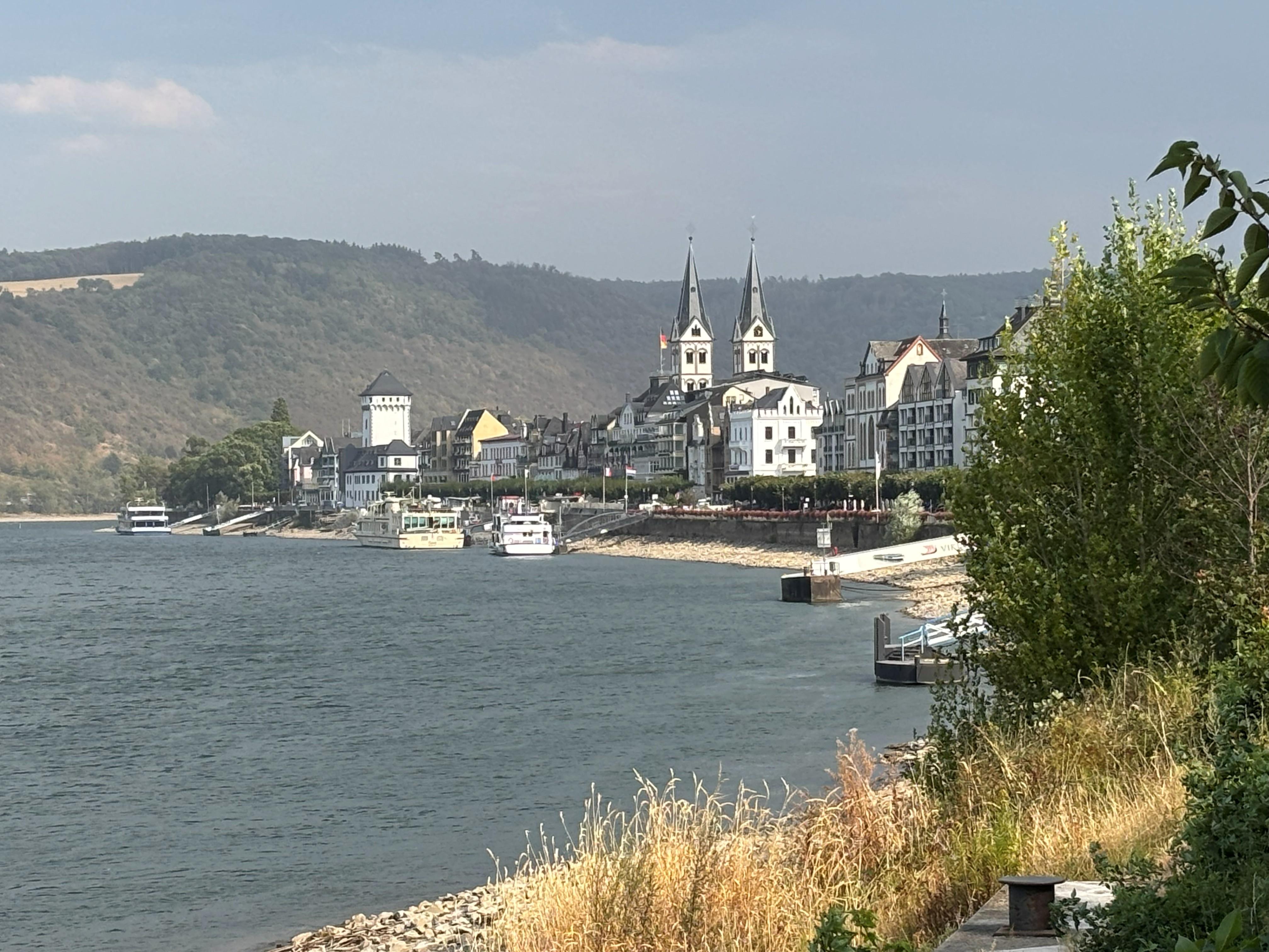 IMG_5441.jpg