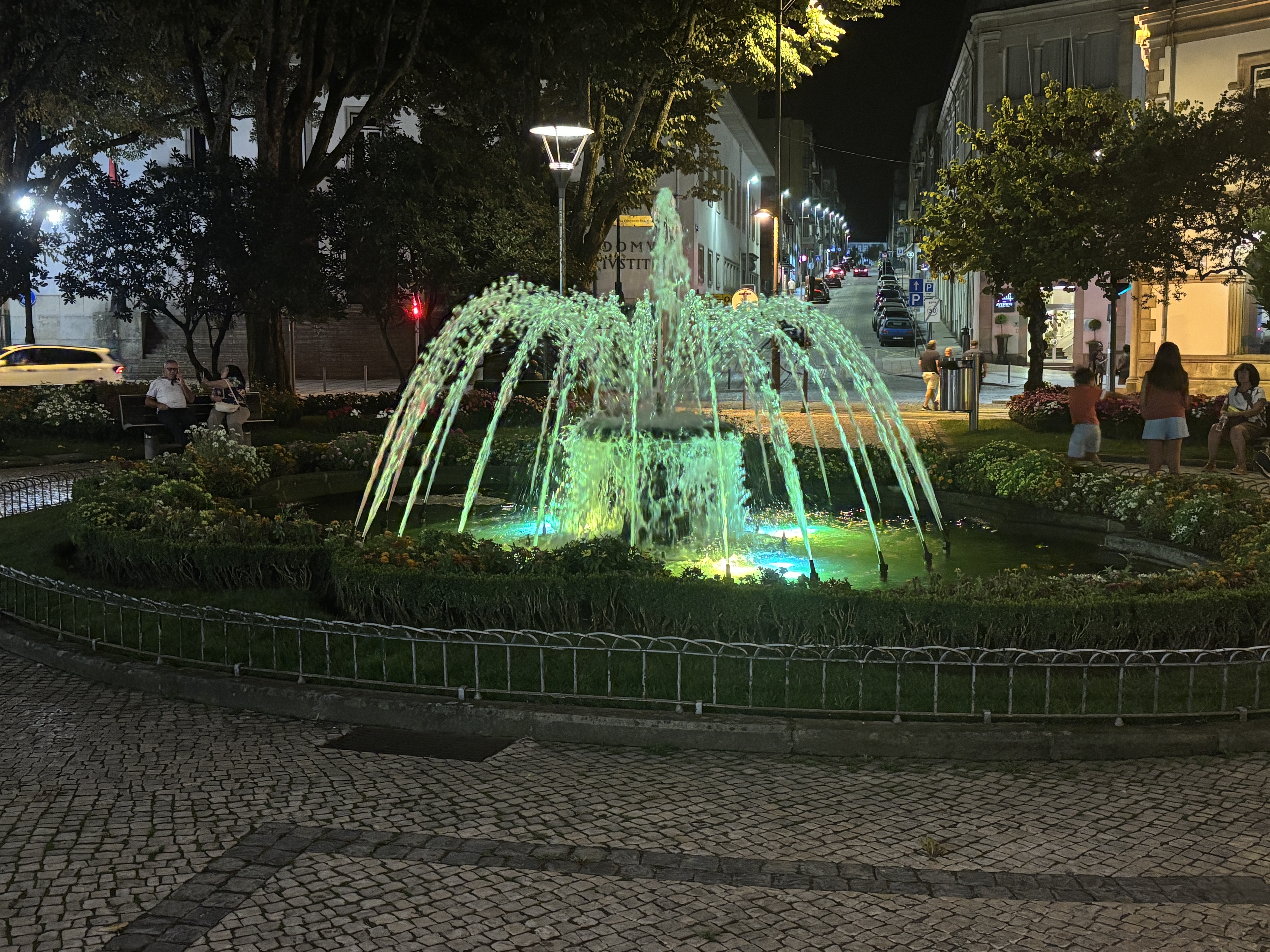 IMG_5675.JPG
