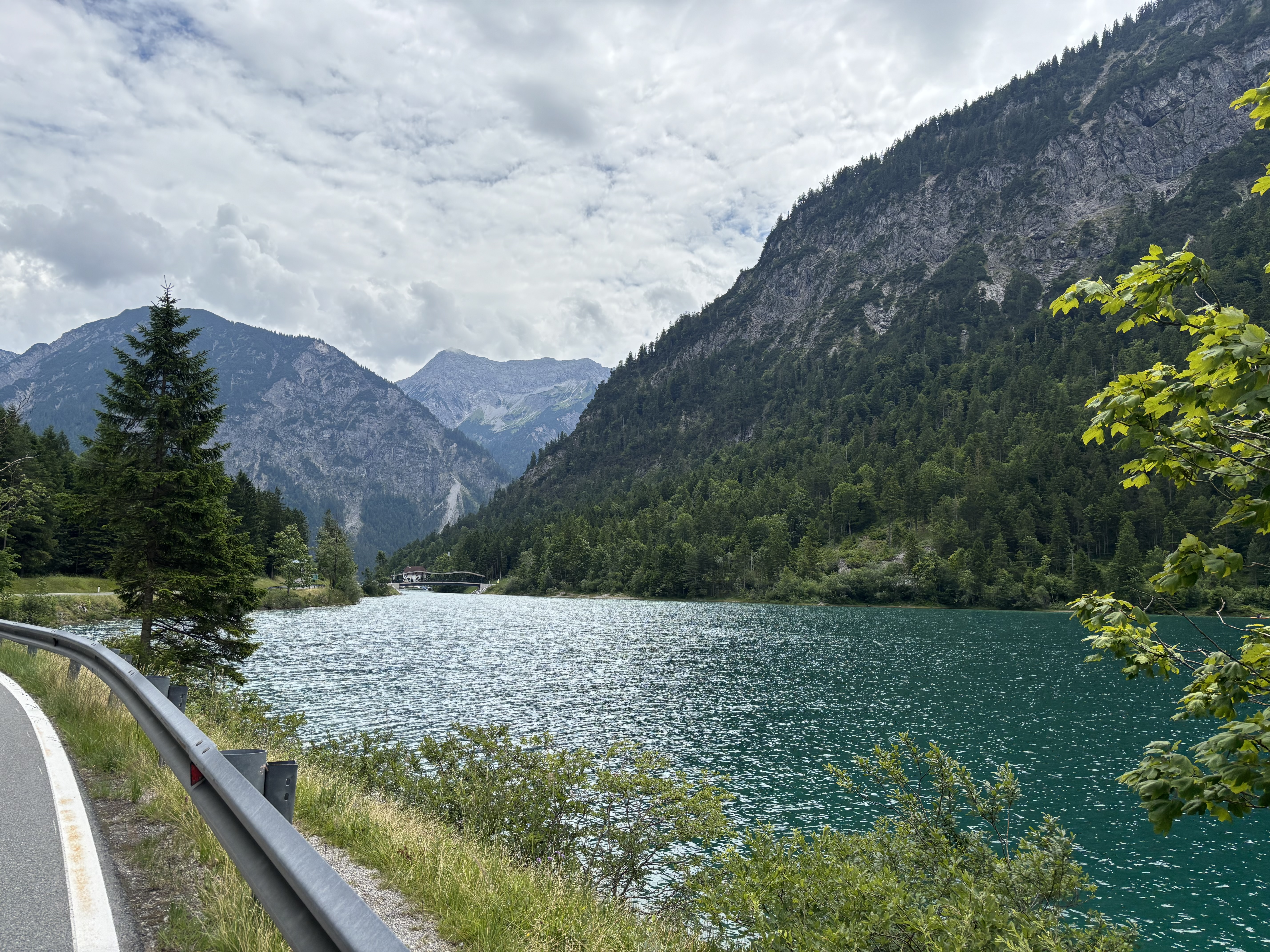 IMG_3707.JPG