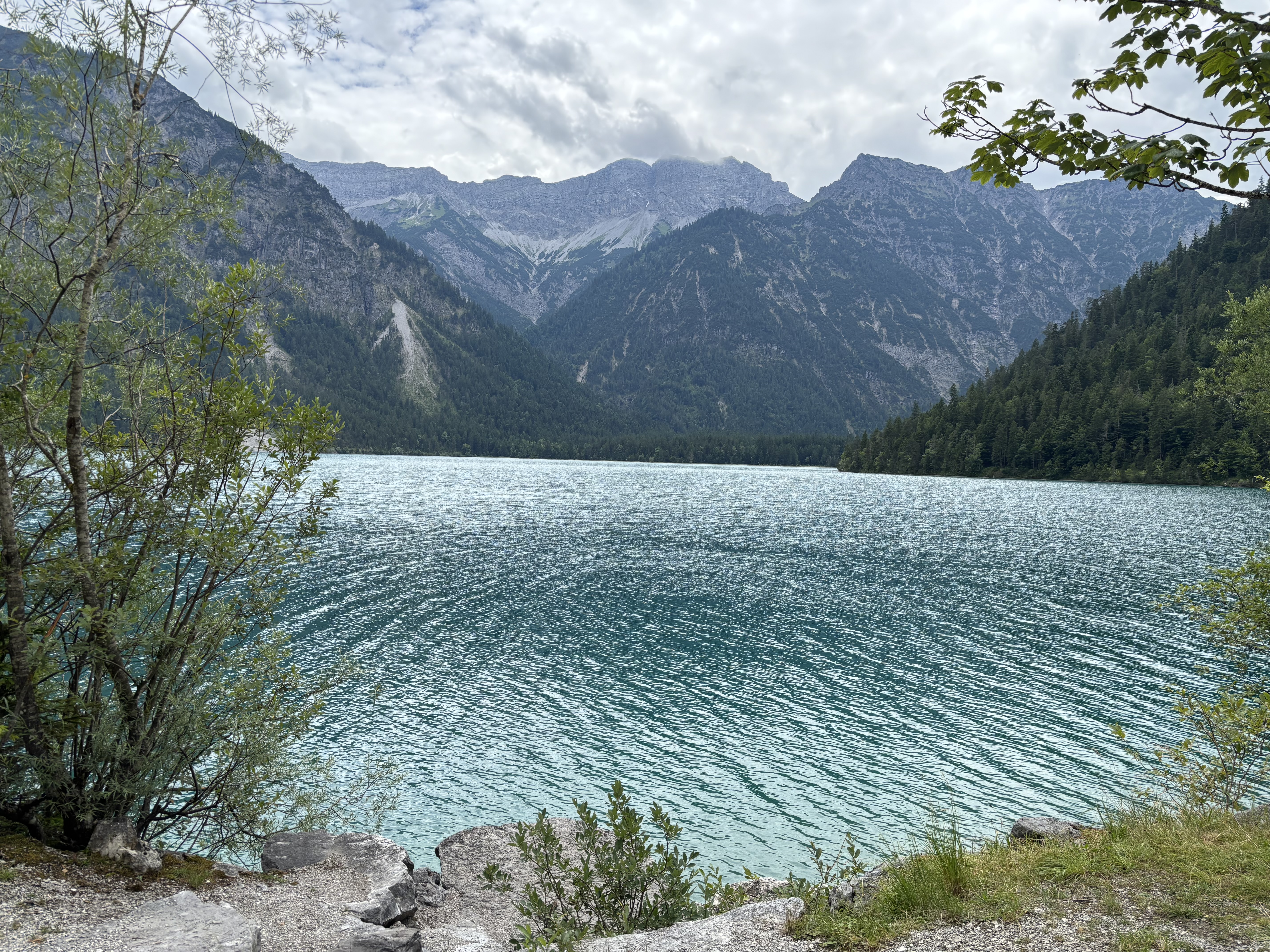 IMG_3710.JPG