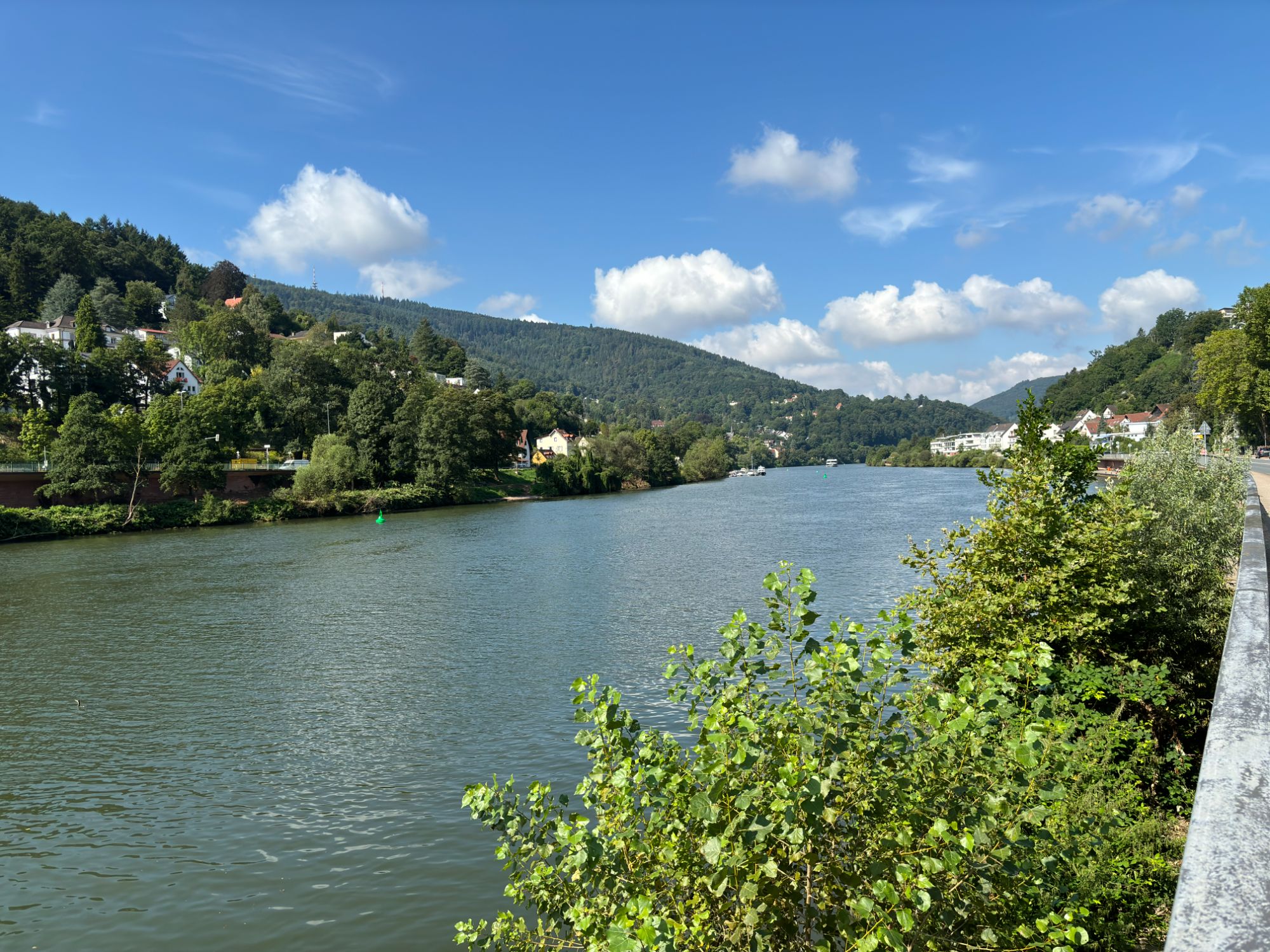 IMG_2351.JPG