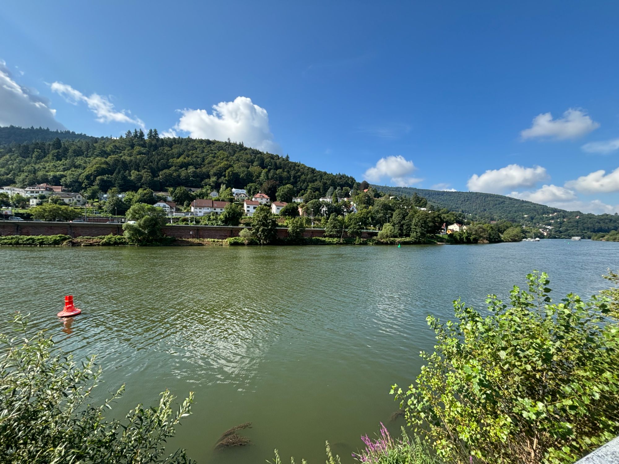 IMG_2355.JPG