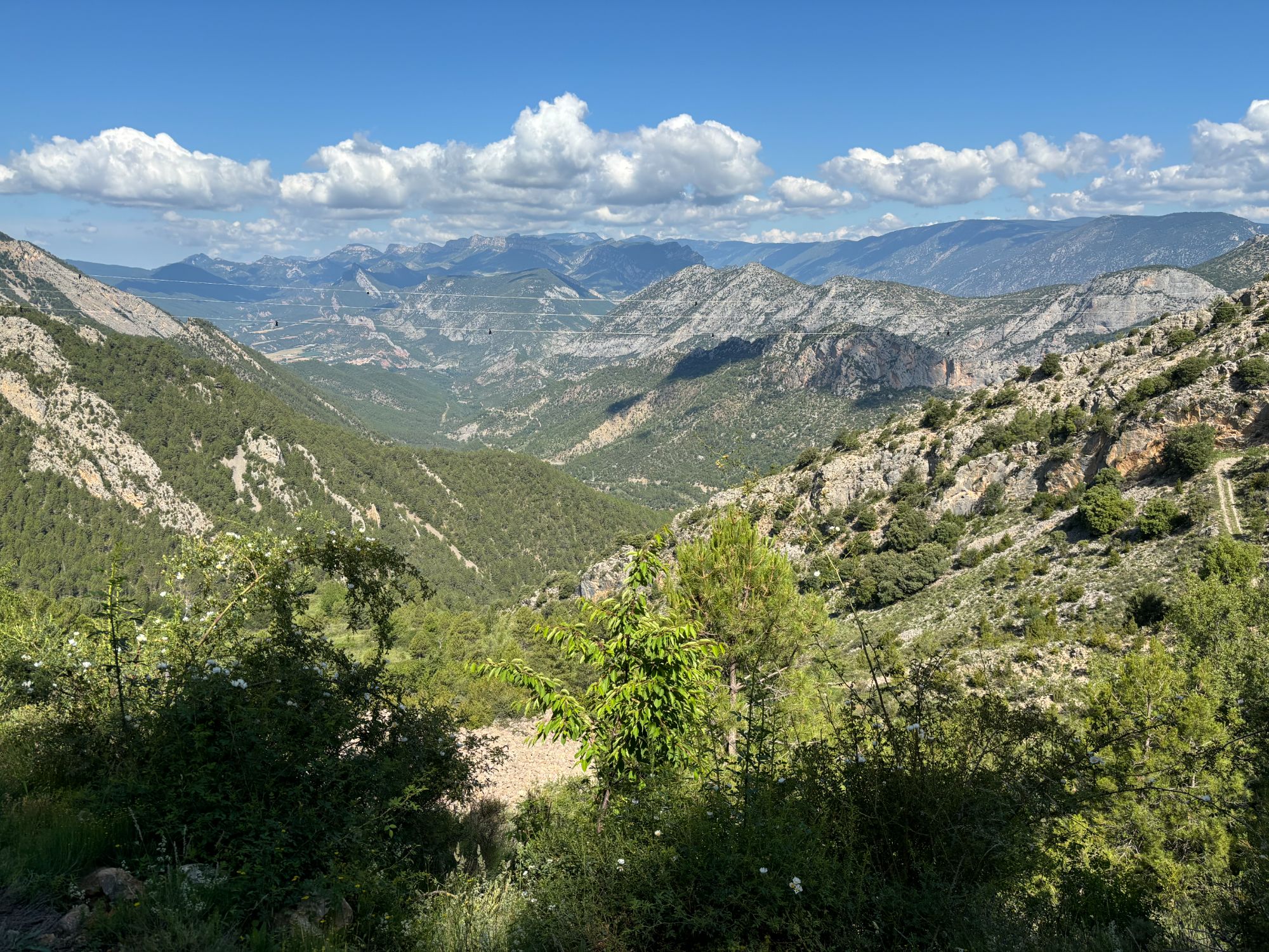 IMG_2015.JPG