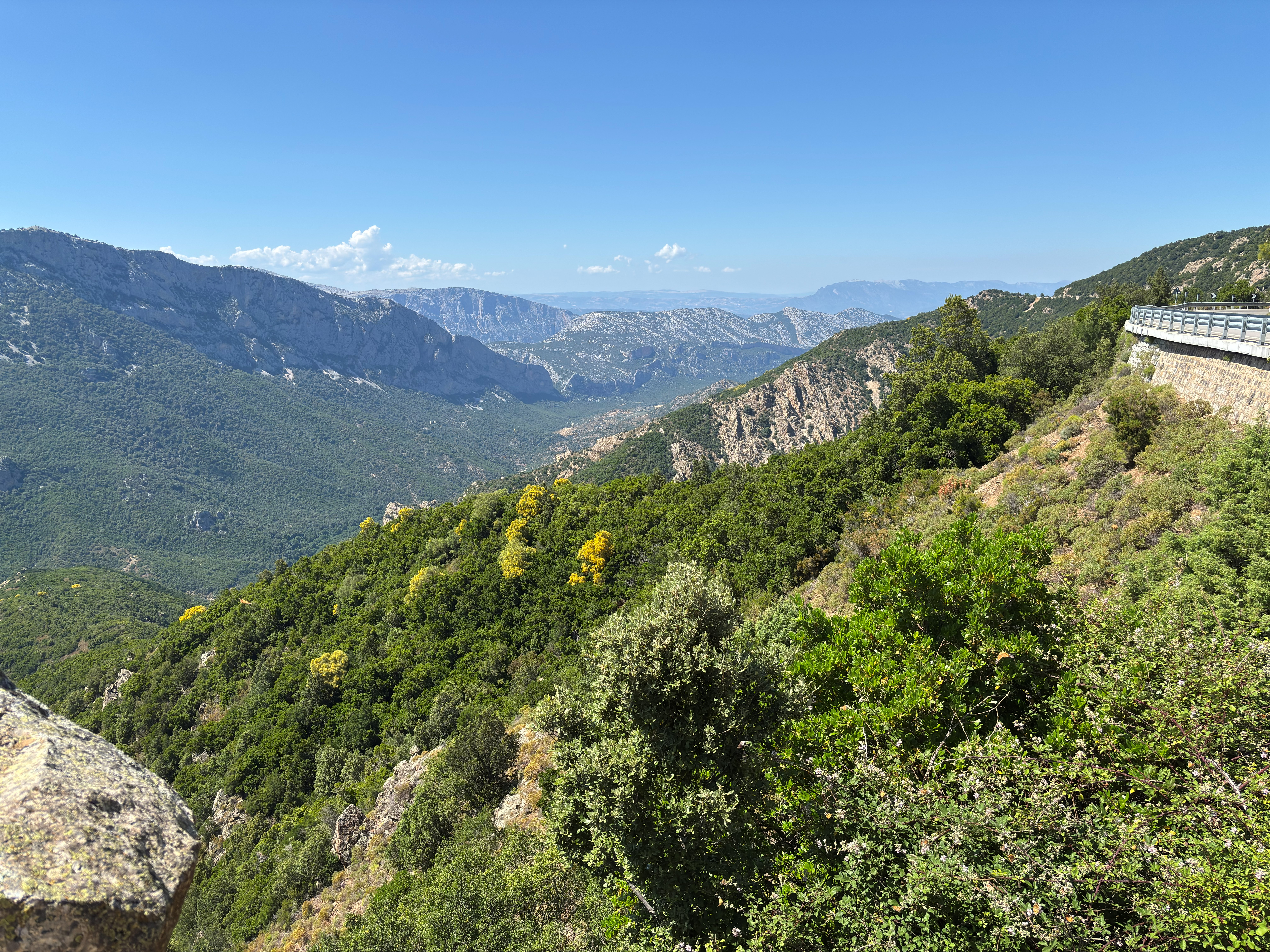 IMG_4804.jpg
